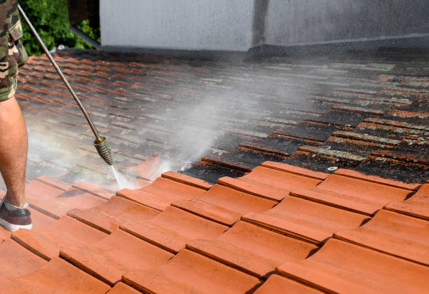 Best Best Pressure Washing Companies  in Rising Sun, MD