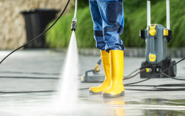 Best Pressure Washing Company Near Me  in Rising Sun, MD