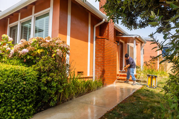 Best Concrete Pressure Washing  in Rising Sun, MD