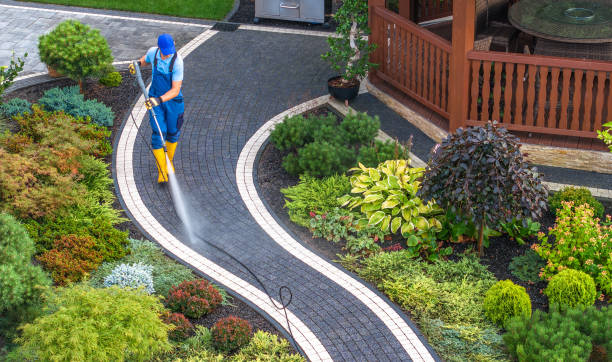 Best Power Washing Near Me  in Rising Sun, MD